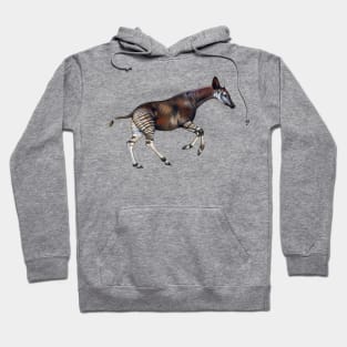 Okapi Hoodie